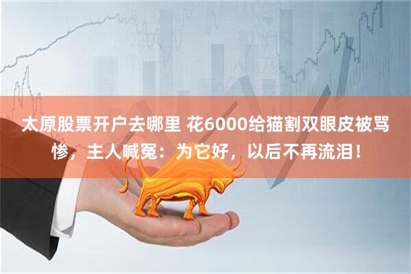 太原股票开户去哪里 花6000给猫割双眼皮被骂惨，主人喊冤：为它好，以后不再流泪！